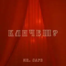 Mr. Safe — Кличеш?