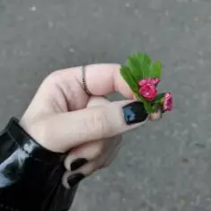 Эйприл — В огоньки