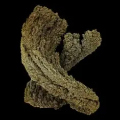 Max Cooper — Waves