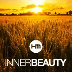 Hybrid Minds — Inner Beauty