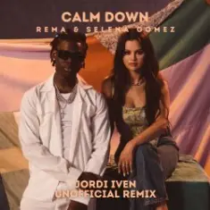 Rema & Selena Gomez — Calm Down