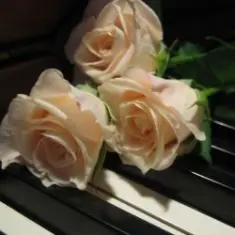 Я ніколи нікому тебе не віддам