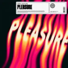 Pleasure (feat. Azooland)