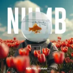 Linkin Park — Numb (Mentol Remix) Aurah Cover