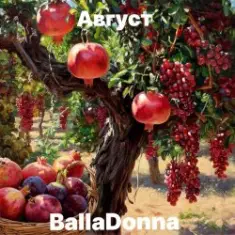 BallaDonna — Август