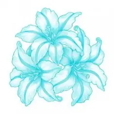 Ant+Shift — Пропаганда