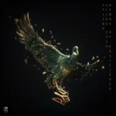 Apashe & Alina Pash — Kyiv