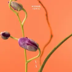 MYRNE — Time (Something To You)