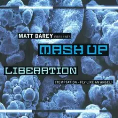Matt Darey pres. Mash Up — Liberation (Ferry Corsten Remix)