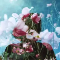 Bosnia & Михаил The Bojarski — Without Chance