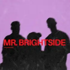 ItaloBrothers — Mr. Brightside