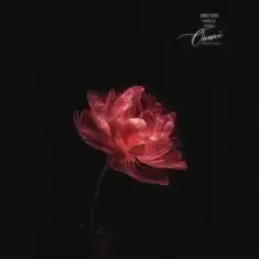 Anivar — Обещай (Kvmly & Zovo Kavkaz Remix)