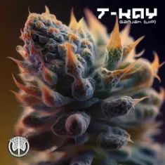 T-Kay — Ganjah VIP (Original Mix)