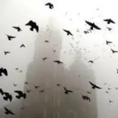 ДДТ — На небе вороны