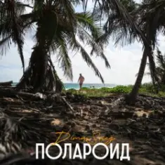 Dima Sneg — Полароид (Remix)