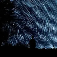 Whitewildbear — Breakdown (Without words)