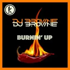 DJ Brownie — Burnin Up