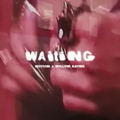 NOTION & Willow Kayne — WAITING