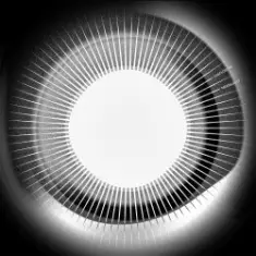 Disclosure — Moonlight