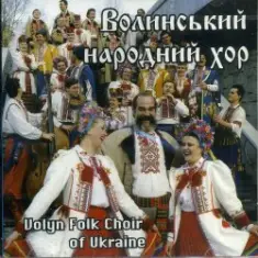 Ансамбль пісні і танцю 'Волинь' — Гарний козак, гарний