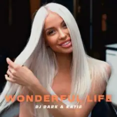 Dj Dark & Katie — Wonderful Life