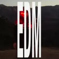 pluko — NEVER FADE