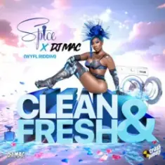 Spice & DJ MAC & CrashDummy — Clean and Fresh