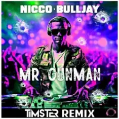 Nicco & Bulljay — Mr Gunman (Timster Remix)