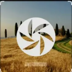 FEWZ — Golden Fields