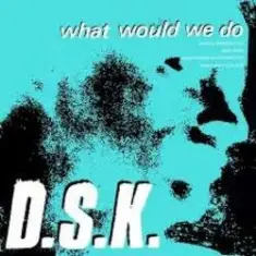 DSK — What Would We Do (Original Mix)