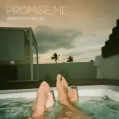 Andrew Rayel & Darla Jade — Promise Me