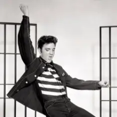 Elvis Presley — (Let Me Be Your) Teddy Bear