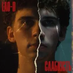 LAO-D — Слабкість