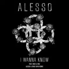 Alesso feat. Nico & Vinz — I Wanna Know (Alesso & Deniz Koyu Remix)