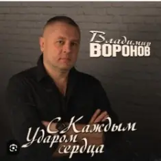 Владимир Воронов — Сержант