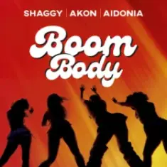 Shaggy & Akon & Aidonia — Boom Body