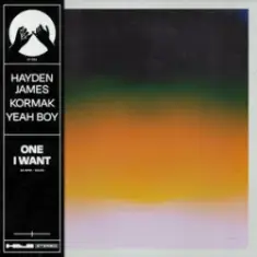 Hayden James & Kormak & Yeah Boy — One I Want