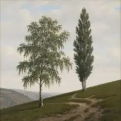 Сергей Видов — Берёза и тополь