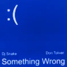 DJ Snake & Don Toliver — Something Wrong