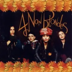 4 Non Blondes — Train