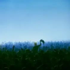 Duke Dumont — I Need You Now