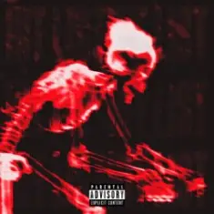 Pharmacist — Destruction