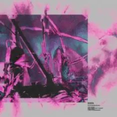 Monrroe — Echo Habit