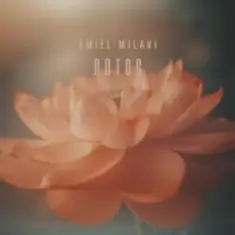 Amiel Milavi — Лотос