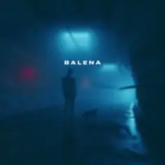 skyfall beats — balena