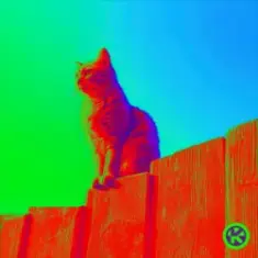 Hagen Feetly — Curiosity