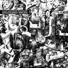 Black Sun Empire — Stranger