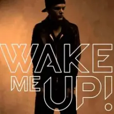 Avicii feat. Aloe Blacc — Wake Me Up