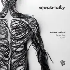 Vintage Culture, Fancy Inc, Meca — Electricity