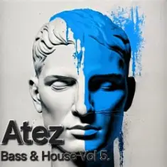 Bass House Vol5.